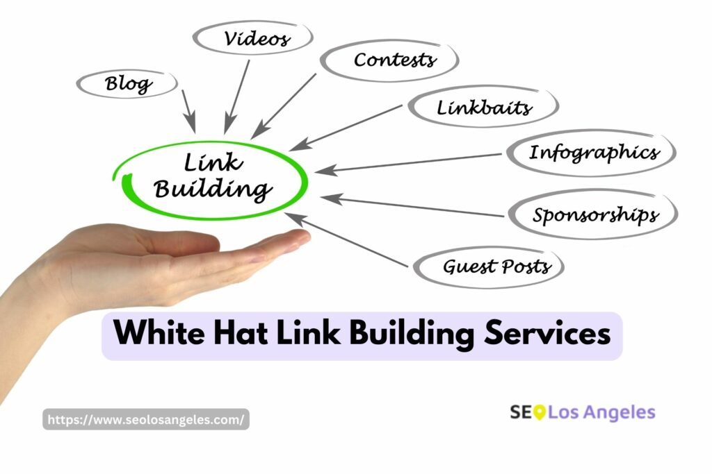 Infographics for the topic about List of White Hat Link Building Services Techniques in SEOLosAngeles